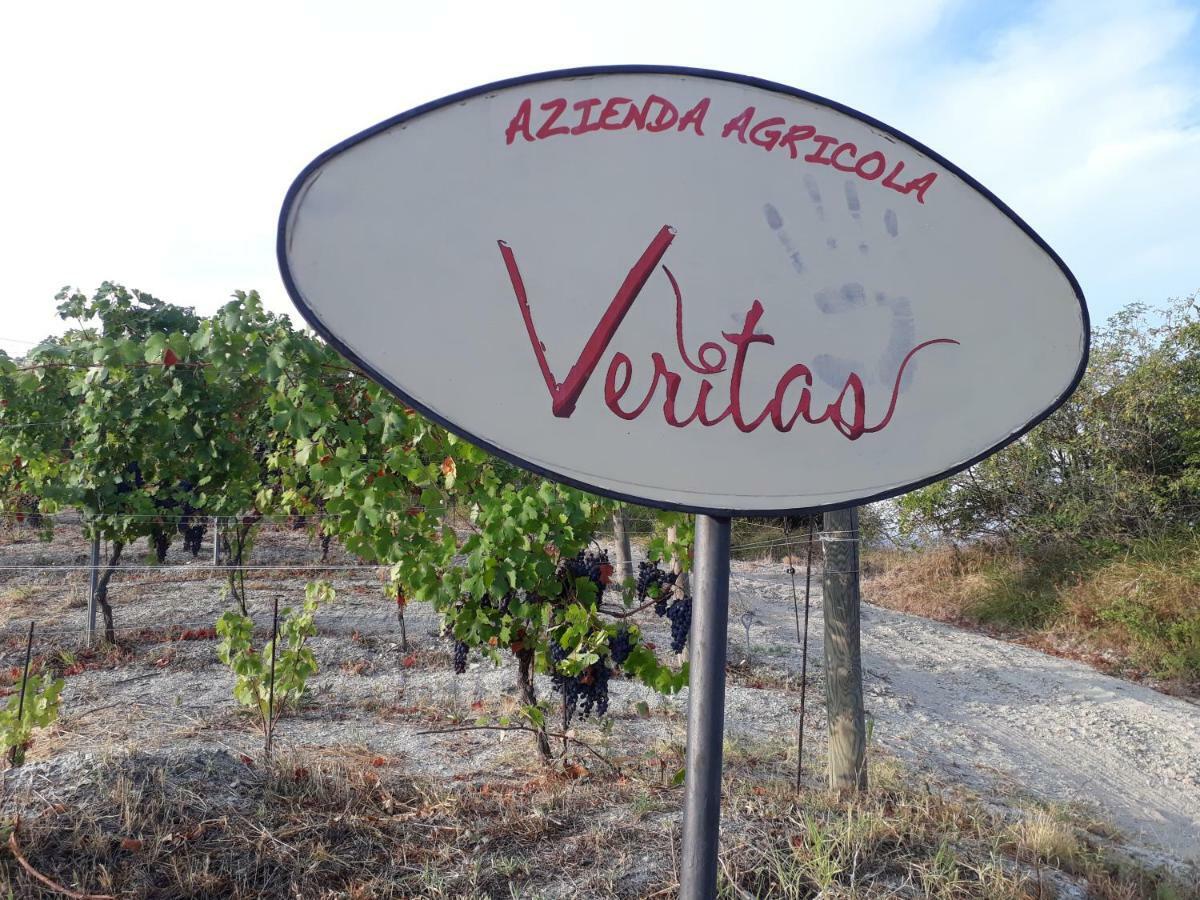 Agriturismo "Veritas" Bed & Wine Casaleggio Boiro ภายนอก รูปภาพ
