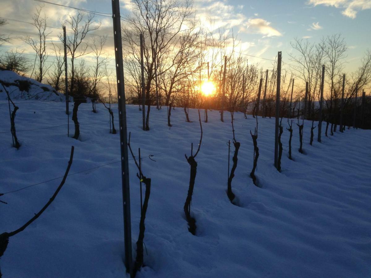 Agriturismo "Veritas" Bed & Wine Casaleggio Boiro ภายนอก รูปภาพ