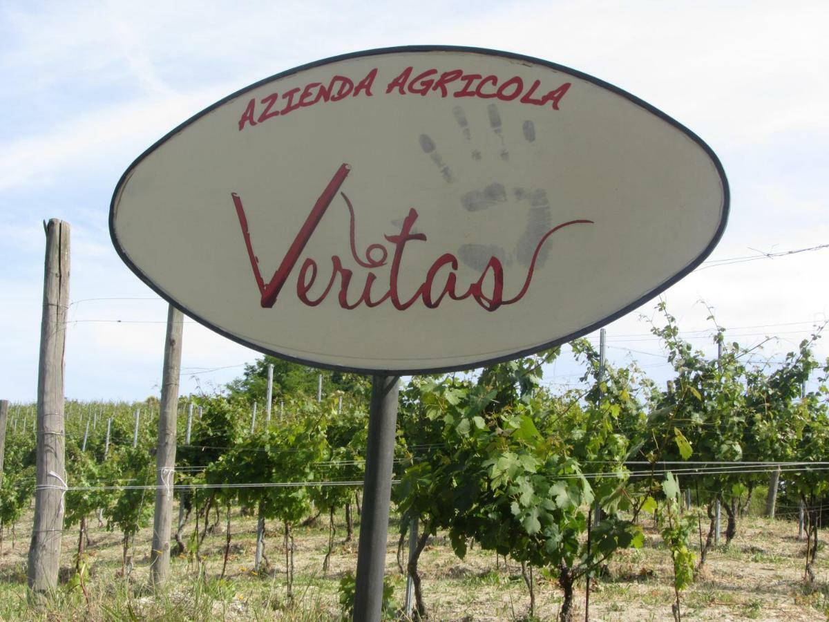 Agriturismo "Veritas" Bed & Wine Casaleggio Boiro ภายนอก รูปภาพ